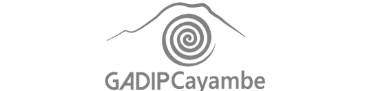 Logotipo para alcaldía de Cayambe, basado en estudios antropológicos de la zona